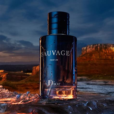 is dior sauvage worth buying|Dior Sauvage parfum 100ml price.